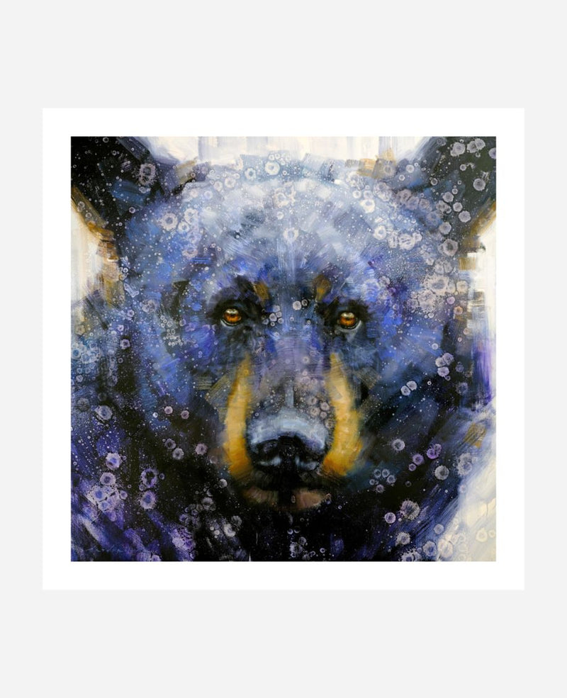 Black Bear Blue - Paper Print - Open Edition Unsigned